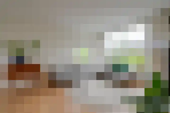 Joseph Haydnlaan 20 2 Utrecht thumbnail 10