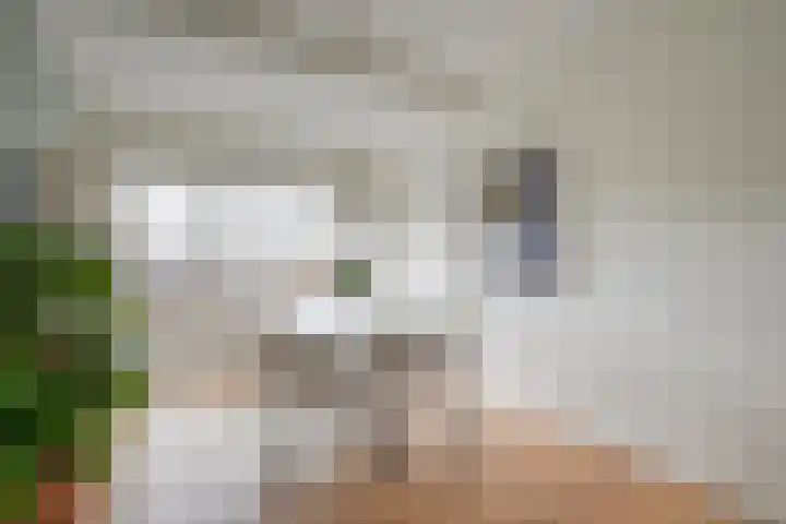 Joseph Haydnlaan 20 2 Utrecht thumbnail 14
