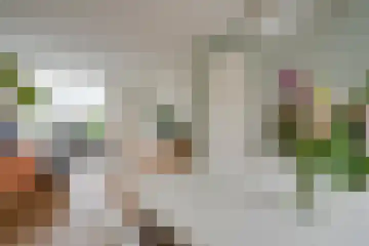 Joseph Haydnlaan 20 2 Utrecht thumbnail 15