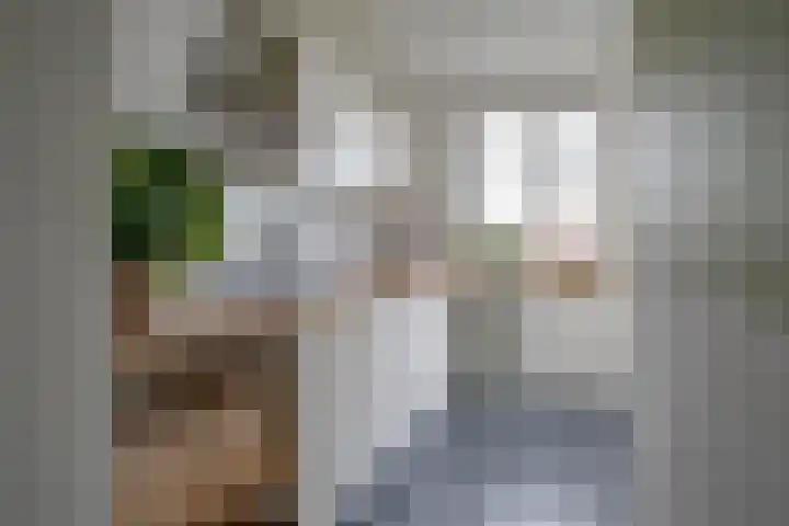 Joseph Haydnlaan 20 2 Utrecht thumbnail 17