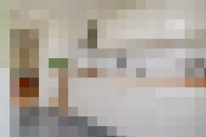 Joseph Haydnlaan 20 2 Utrecht thumbnail 18