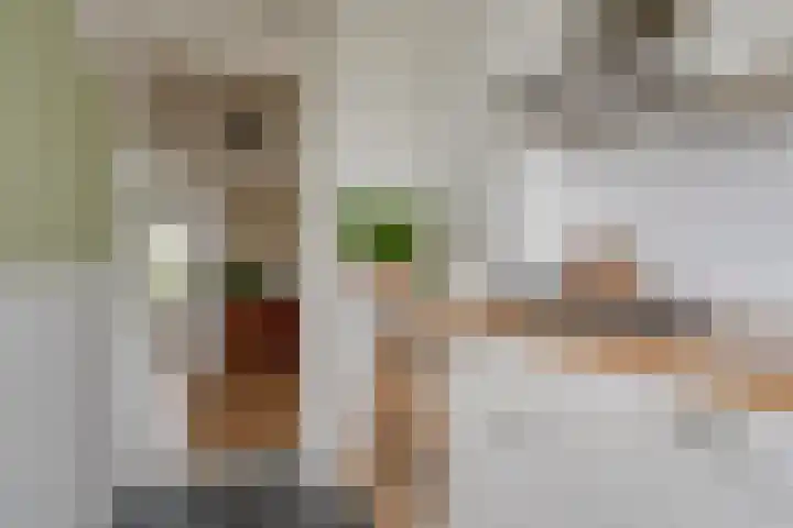 Joseph Haydnlaan 20 2 Utrecht thumbnail 19