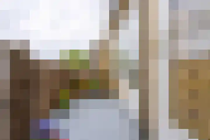 Joseph Haydnlaan 20 2 Utrecht thumbnail 21