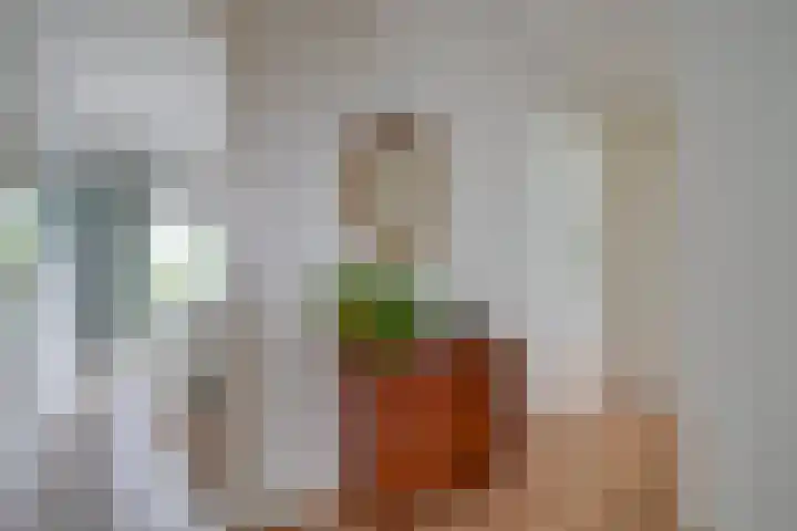 Joseph Haydnlaan 20 2 Utrecht thumbnail 25