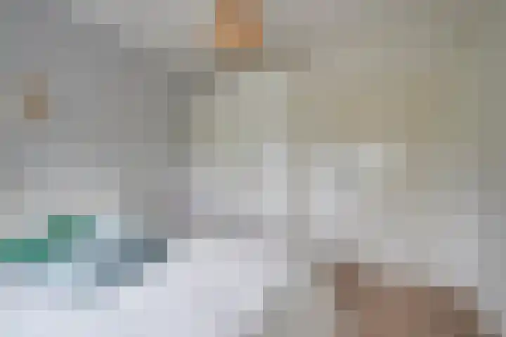 Joseph Haydnlaan 20 2 Utrecht thumbnail 27