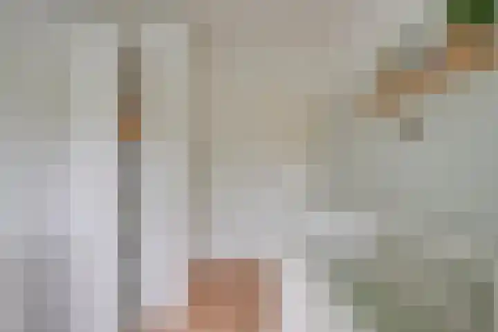 Joseph Haydnlaan 20 2 Utrecht thumbnail 31