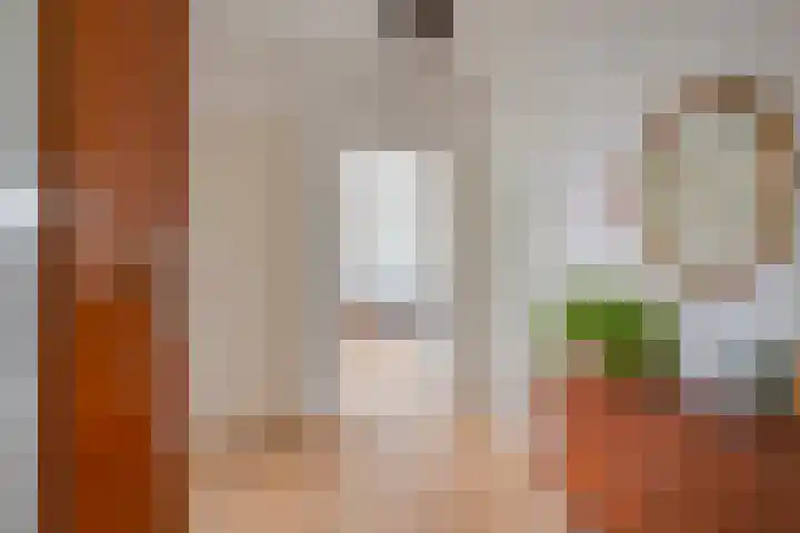 Joseph Haydnlaan 20 2 Utrecht thumbnail 8