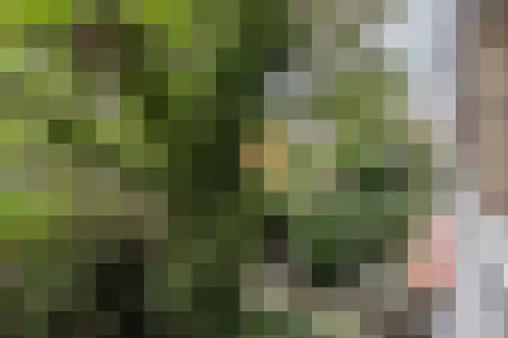 Joseph Haydnlaan 24 1 Utrecht thumbnail 11