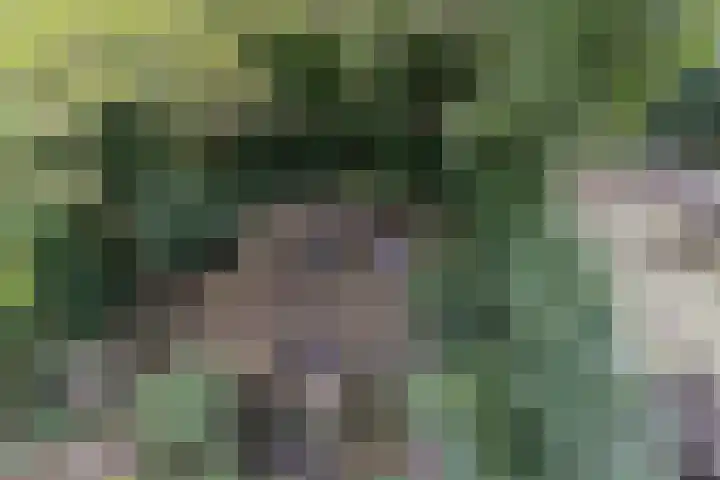 Joseph Haydnlaan 24 1 Utrecht thumbnail 12