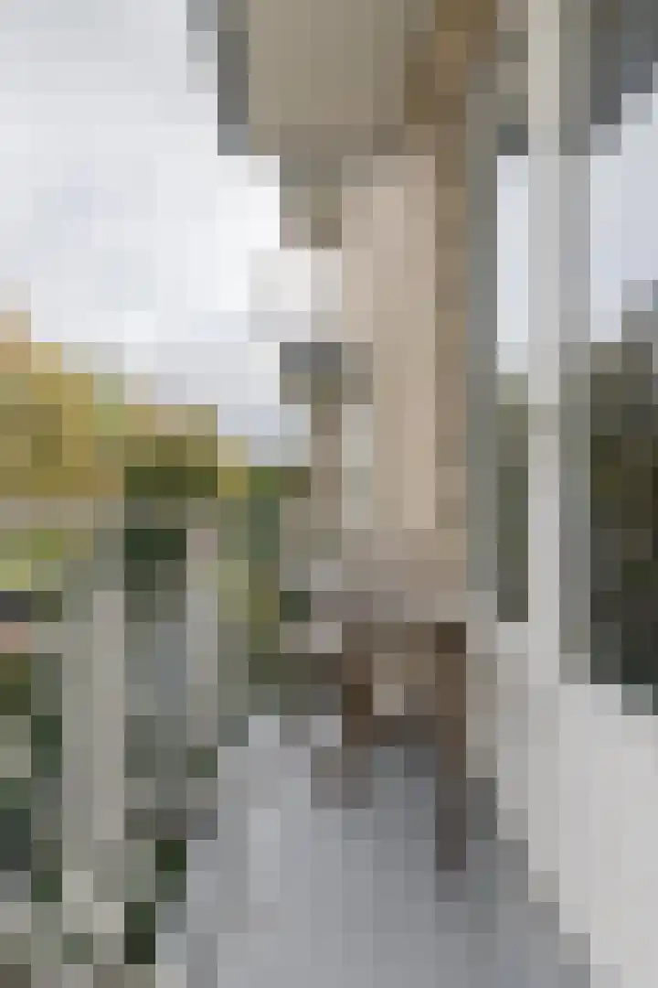 Joseph Haydnlaan 24 1 Utrecht thumbnail 15