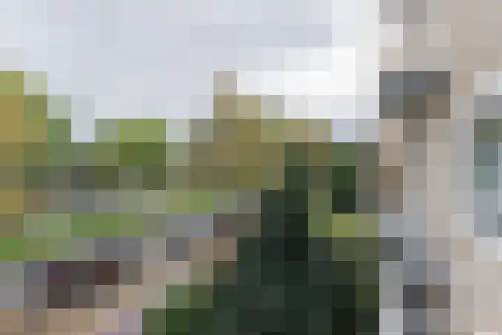 Joseph Haydnlaan 24 1 Utrecht thumbnail 16