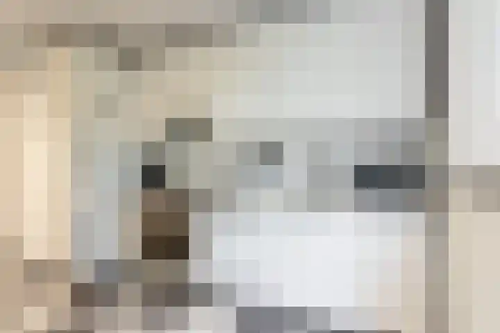 Joseph Haydnlaan 24 1 Utrecht thumbnail 19