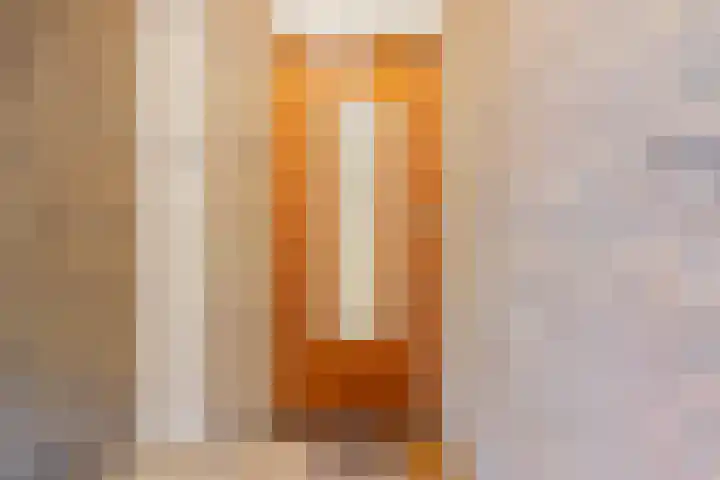 Joseph Haydnlaan 24 1 Utrecht thumbnail 20
