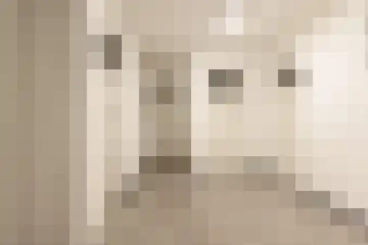 Joseph Haydnlaan 24 1 Utrecht thumbnail 23