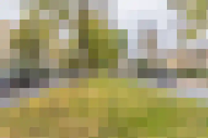 Joseph Haydnlaan 24 1 Utrecht thumbnail 25