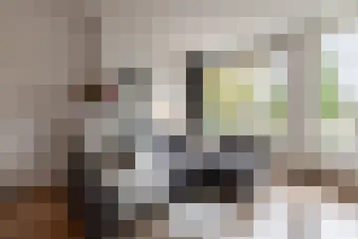 Joseph Haydnlaan 24 1 Utrecht thumbnail 5