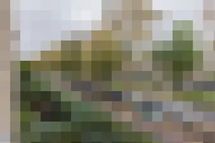 Joseph Haydnlaan 24 1 Utrecht thumbnail 6