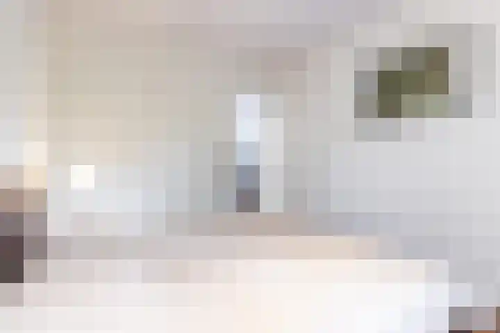 Joseph Haydnlaan 24 1 Utrecht thumbnail 9