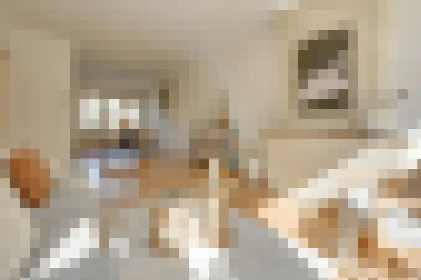 Joseph Haydnlaan 32 1 Utrecht thumbnail 20