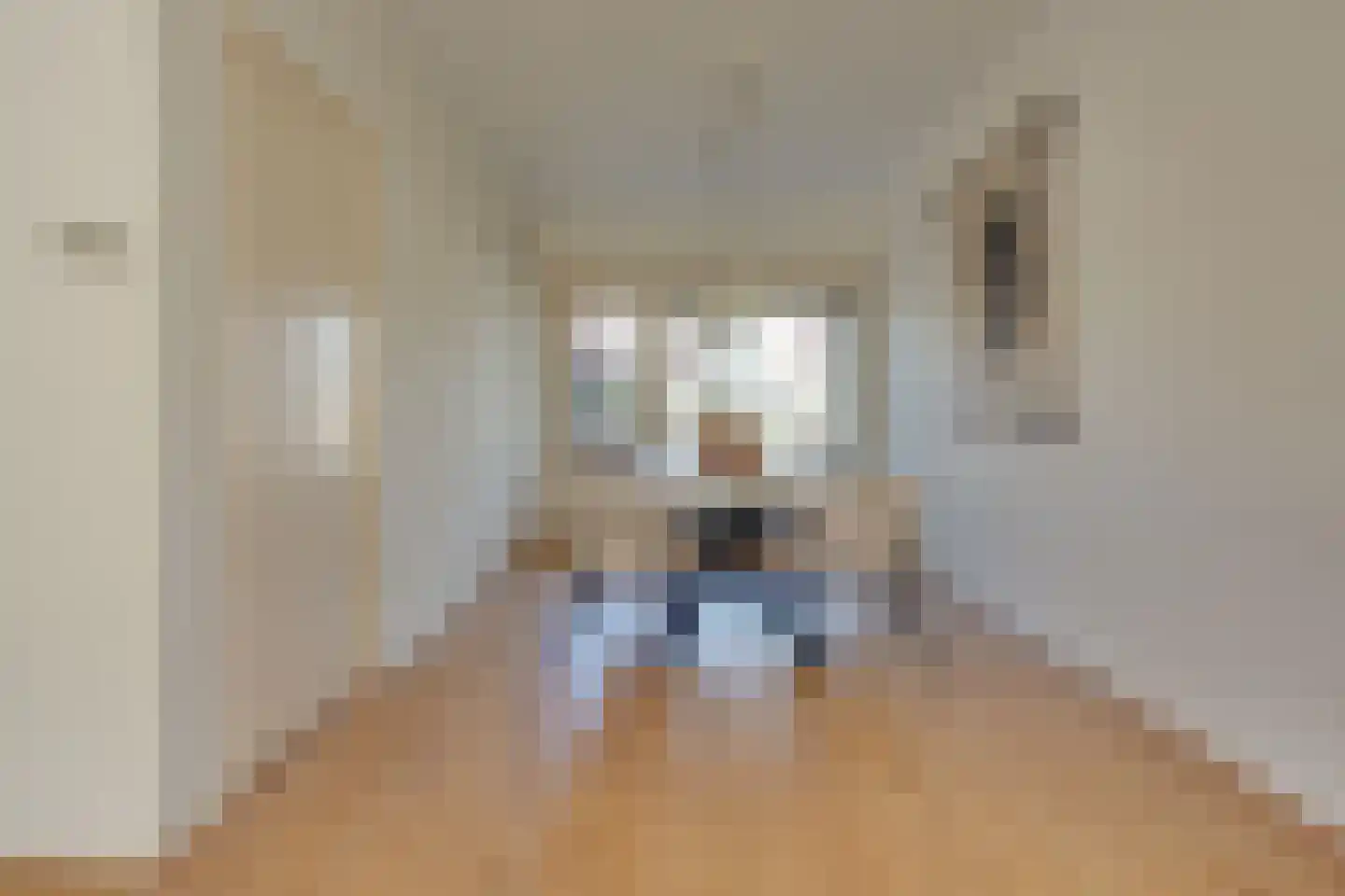Joseph Haydnlaan 32 1 Utrecht thumbnail 23