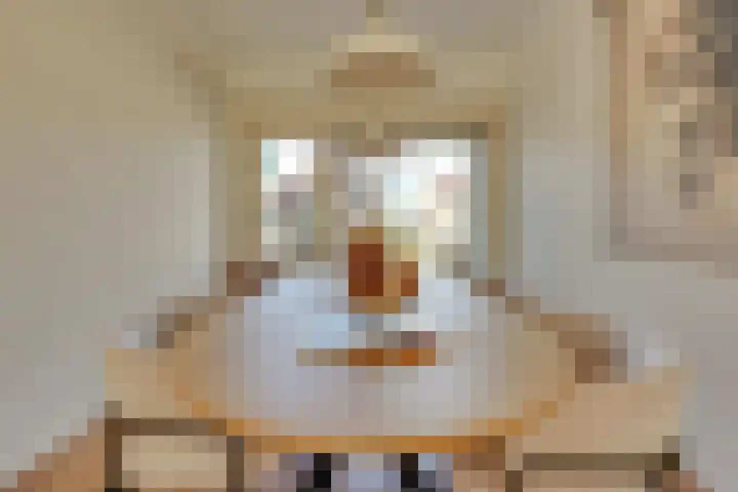 Joseph Haydnlaan 32 1 Utrecht thumbnail 24