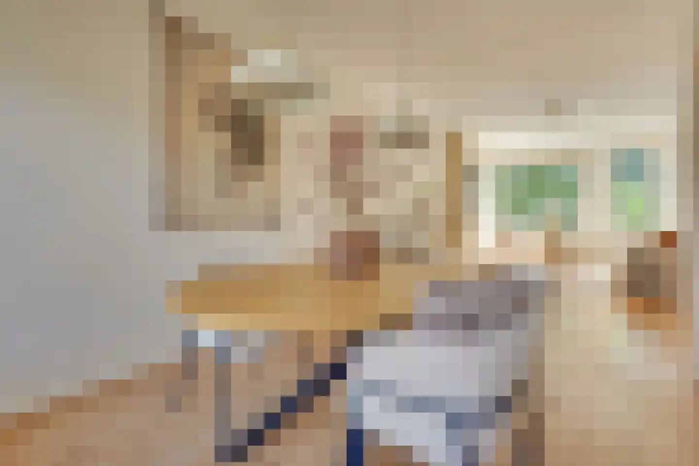 Joseph Haydnlaan 32 1 Utrecht thumbnail 25