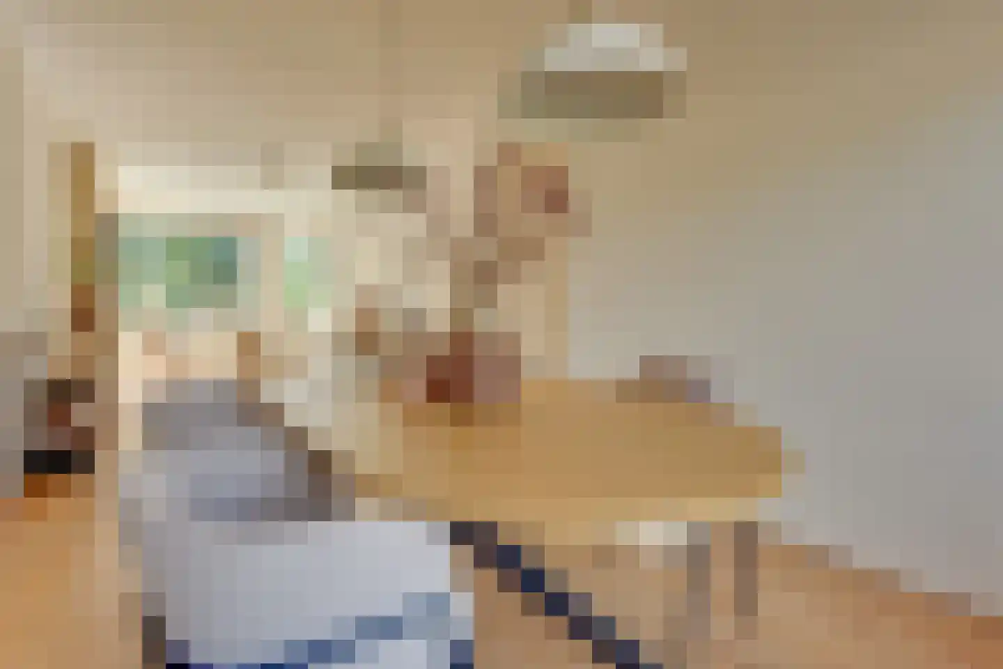 Joseph Haydnlaan 32 1 Utrecht thumbnail 26