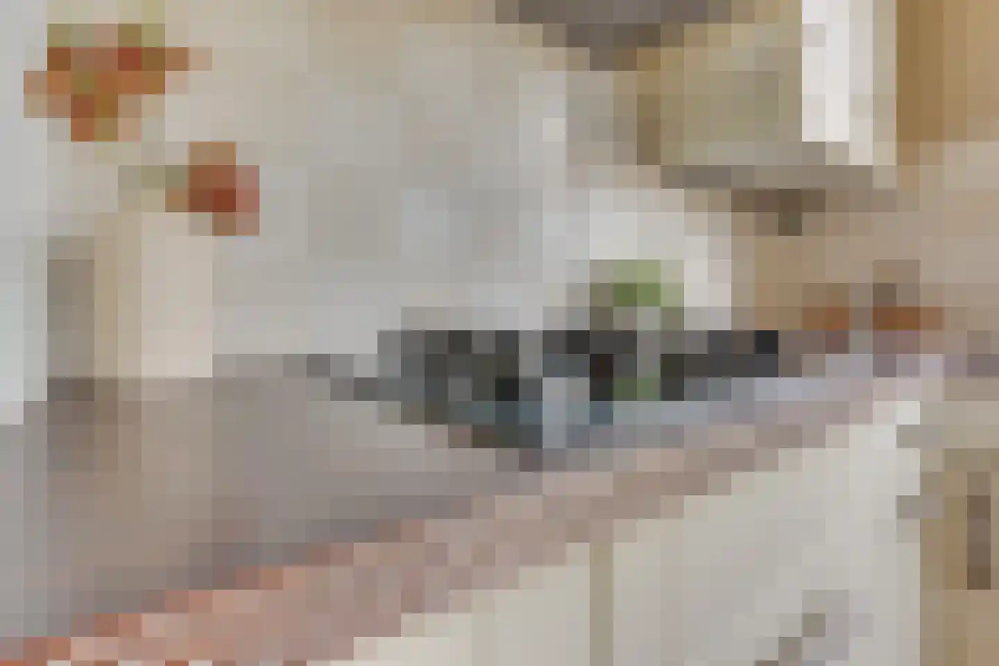Joseph Haydnlaan 32 1 Utrecht thumbnail 35