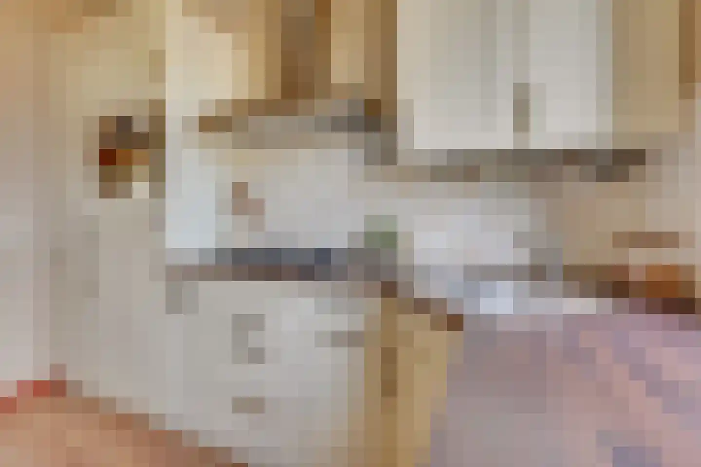 Joseph Haydnlaan 32 1 Utrecht thumbnail 37
