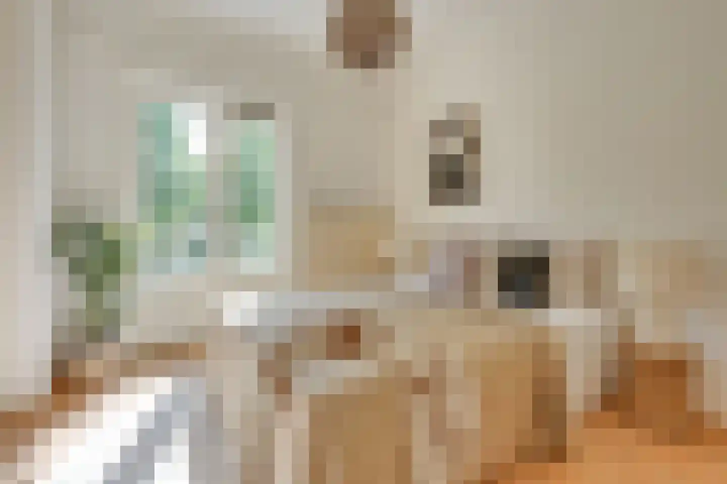 Joseph Haydnlaan 32 1 Utrecht thumbnail 40