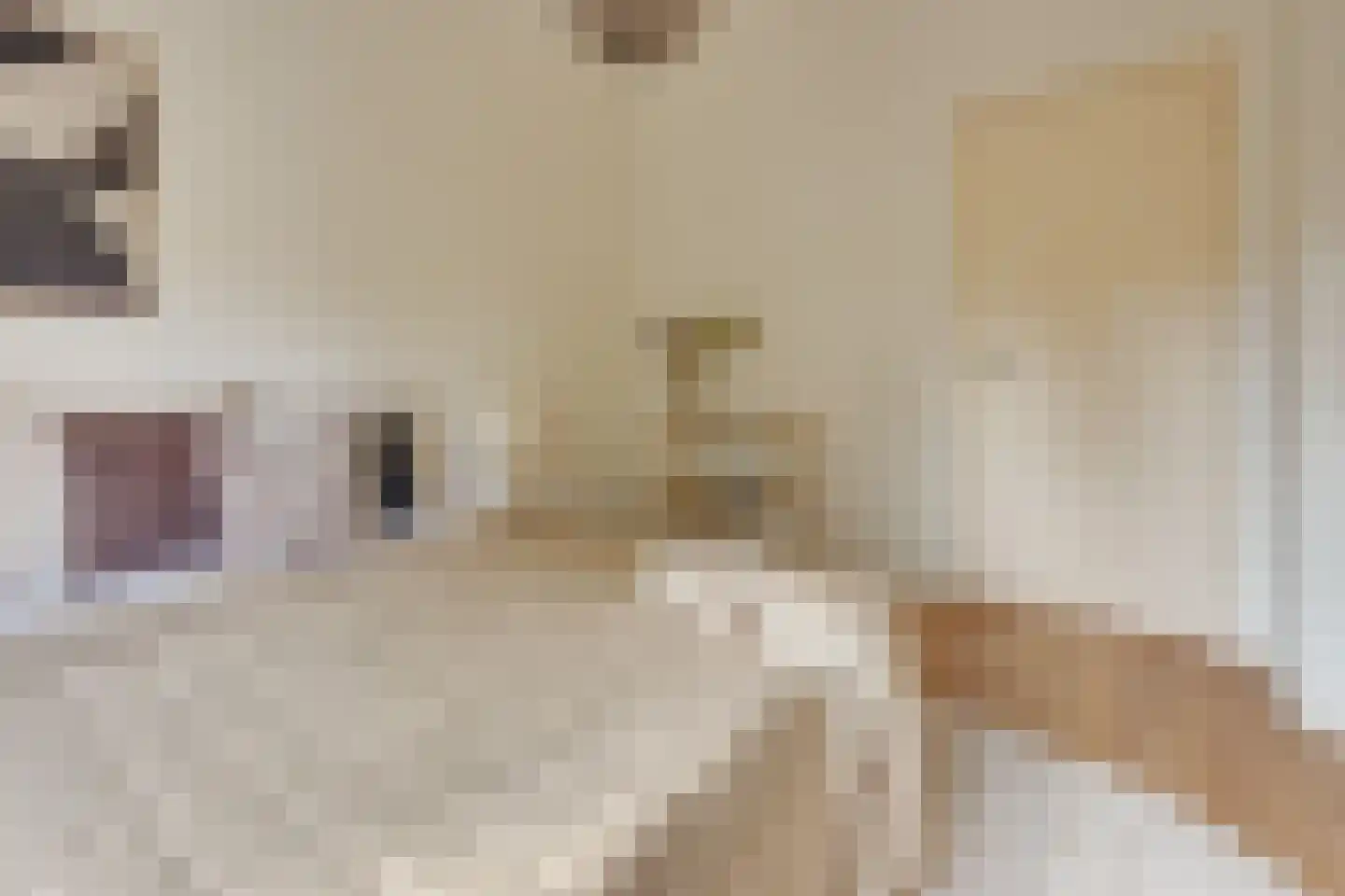 Joseph Haydnlaan 32 1 Utrecht thumbnail 43