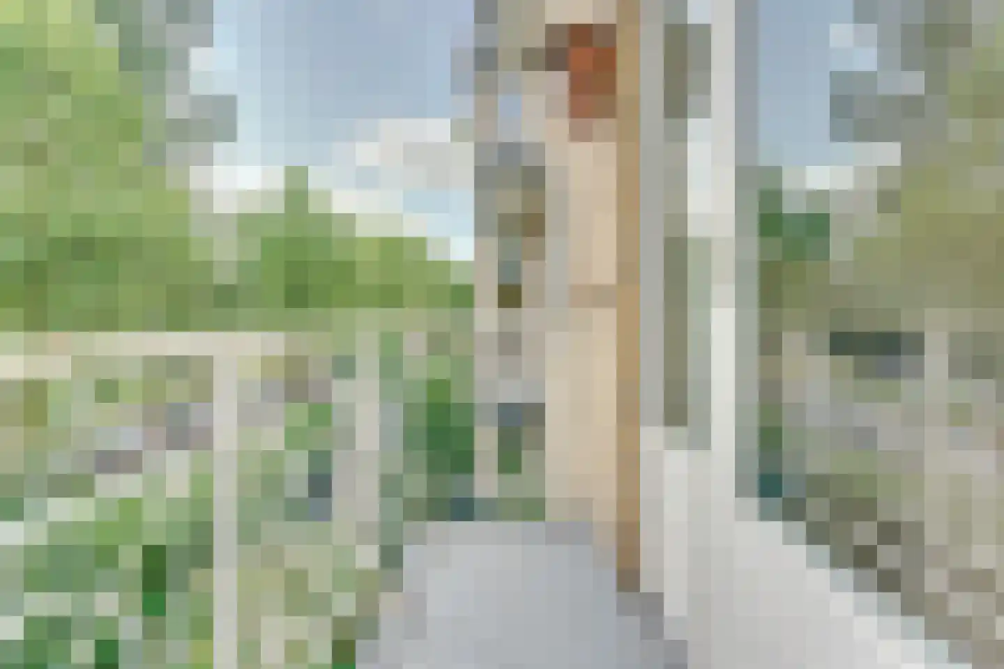 Joseph Haydnlaan 32 1 Utrecht thumbnail 47