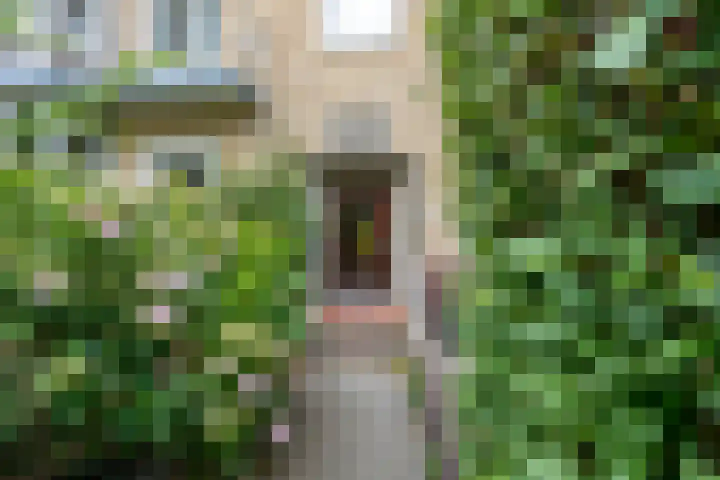 Joseph Haydnlaan 32 1 Utrecht thumbnail 7
