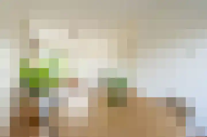 Joseph Haydnlaan 32 3 Utrecht thumbnail 14