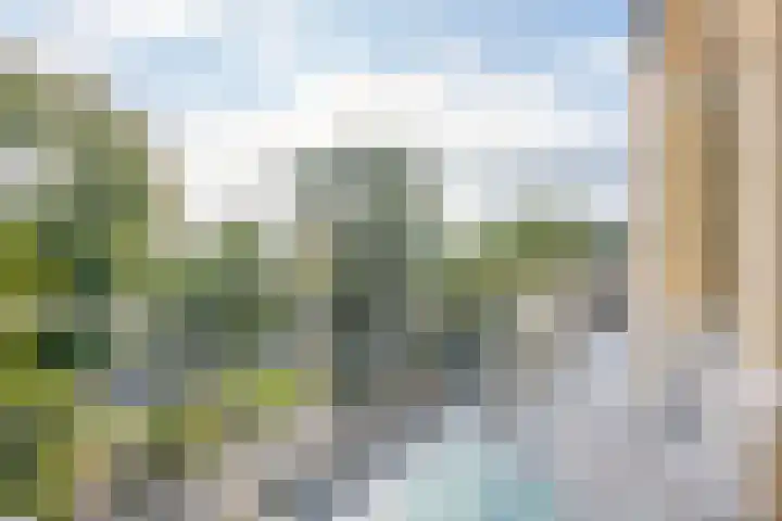 Joseph Haydnlaan 32 3 Utrecht thumbnail 17