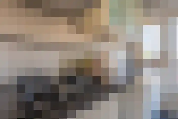 Joseph Haydnlaan 32 3 Utrecht thumbnail 20