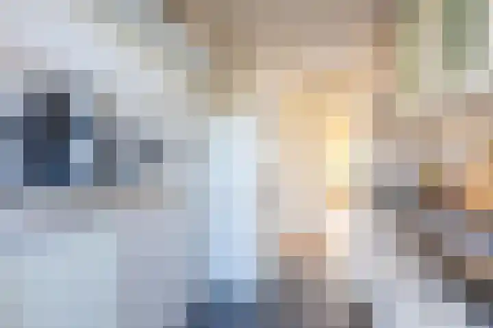 Joseph Haydnlaan 32 3 Utrecht thumbnail 22