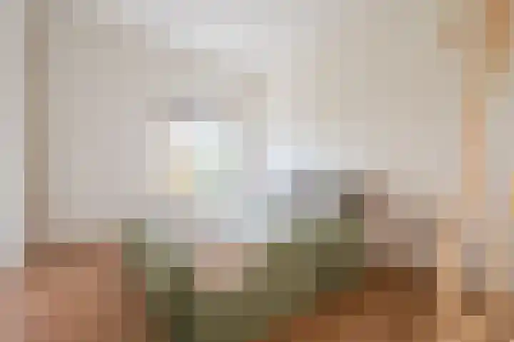Joseph Haydnlaan 32 3 Utrecht thumbnail 23