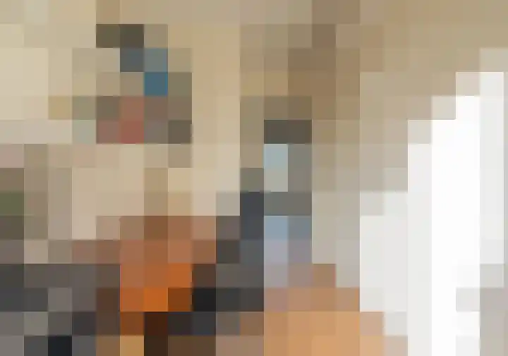 Joseph Haydnlaan 32 3 Utrecht thumbnail 26