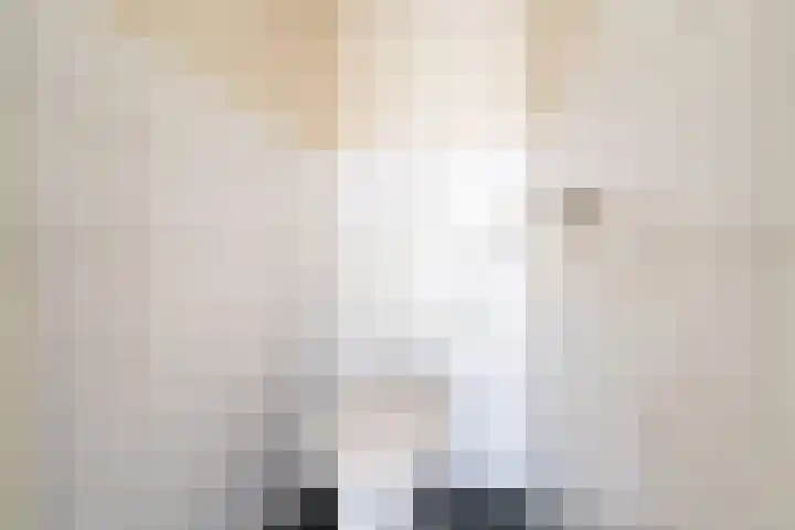 Joseph Haydnlaan 32 3 Utrecht thumbnail 27