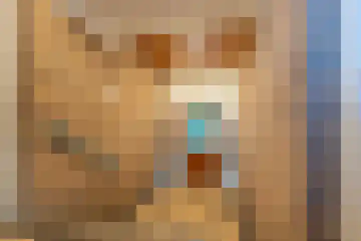 Joseph Haydnlaan 32 3 Utrecht thumbnail 33