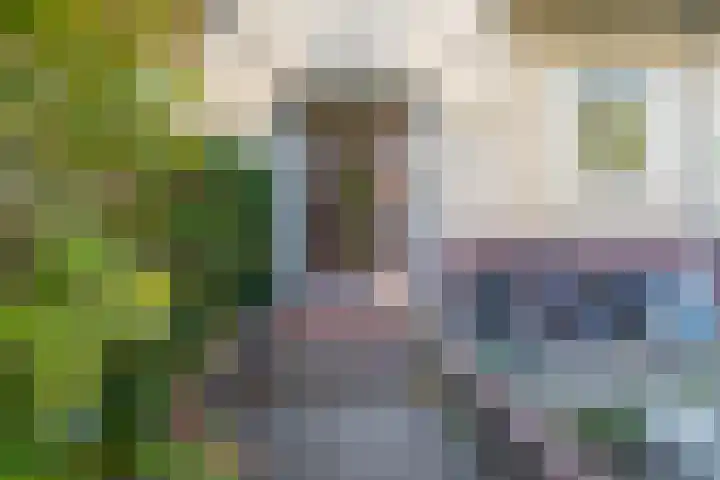 Joseph Haydnlaan 32 3 Utrecht thumbnail 34