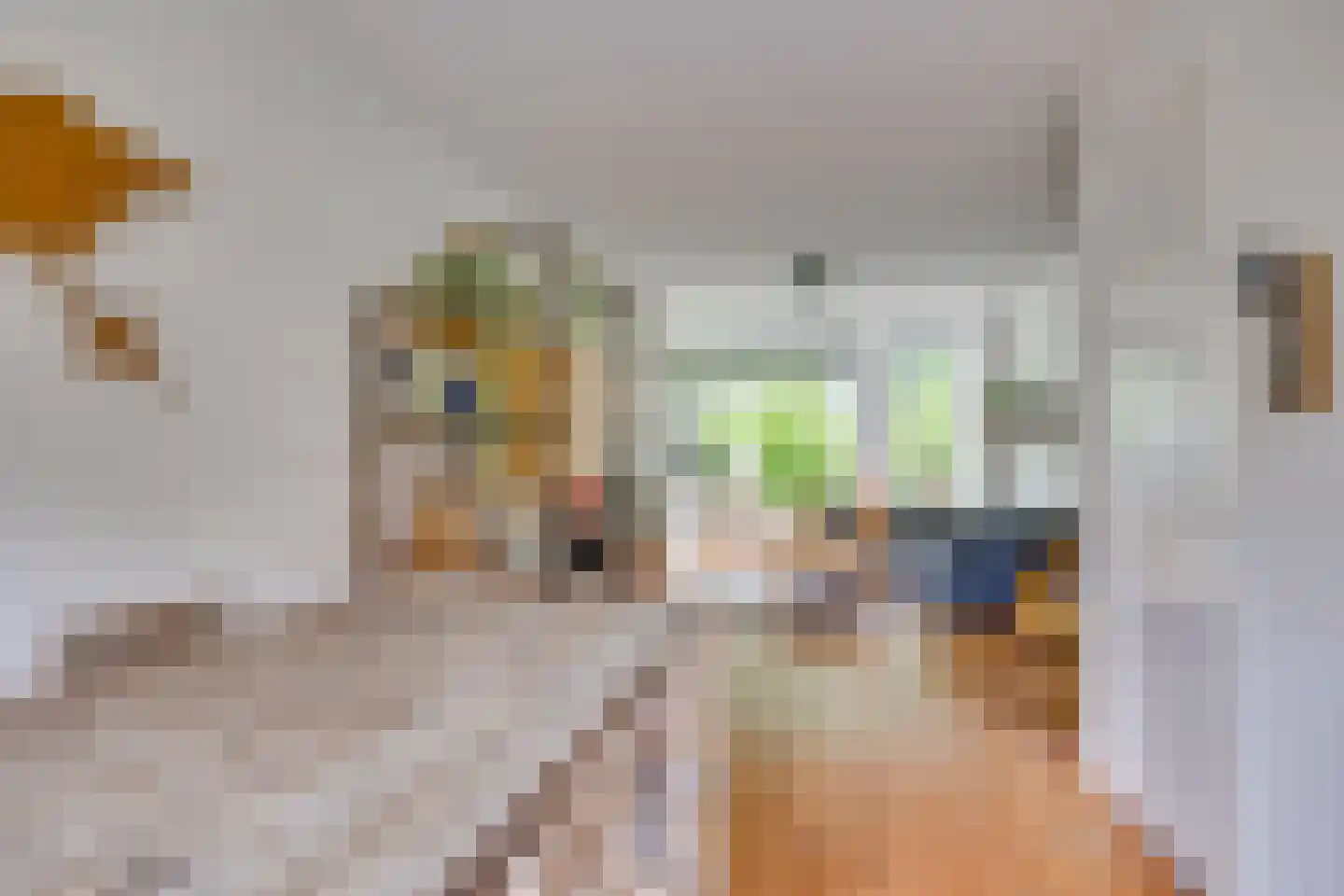 Joseph Haydnlaan 32 Utrecht thumbnail 28