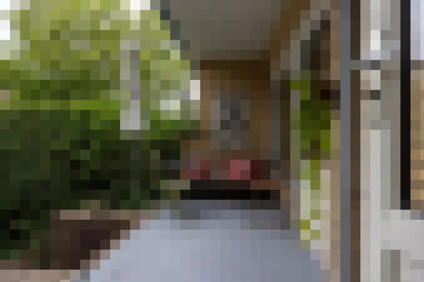 Joseph Haydnlaan 32 Utrecht thumbnail 29