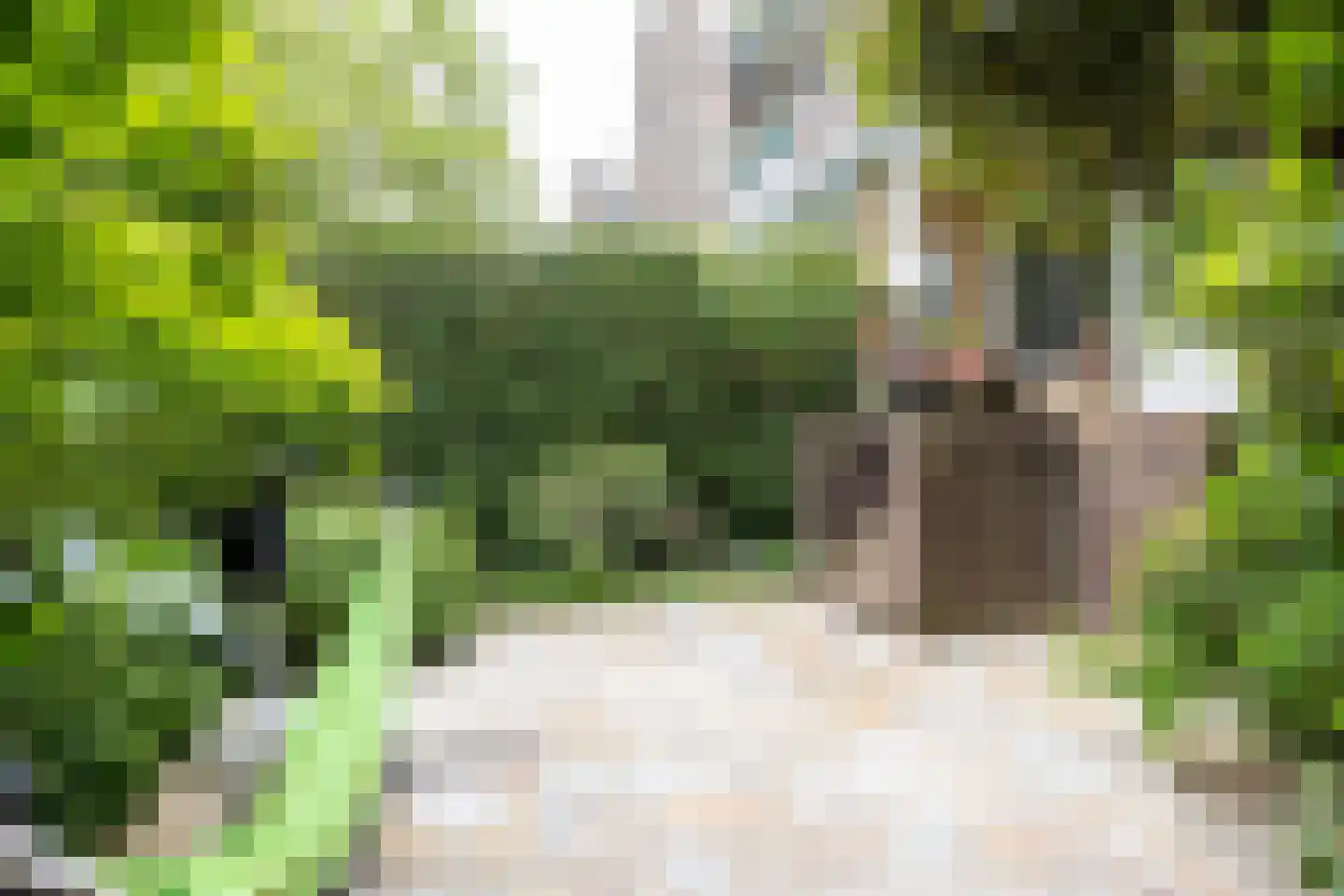 Joseph Haydnlaan 32 Utrecht thumbnail 34
