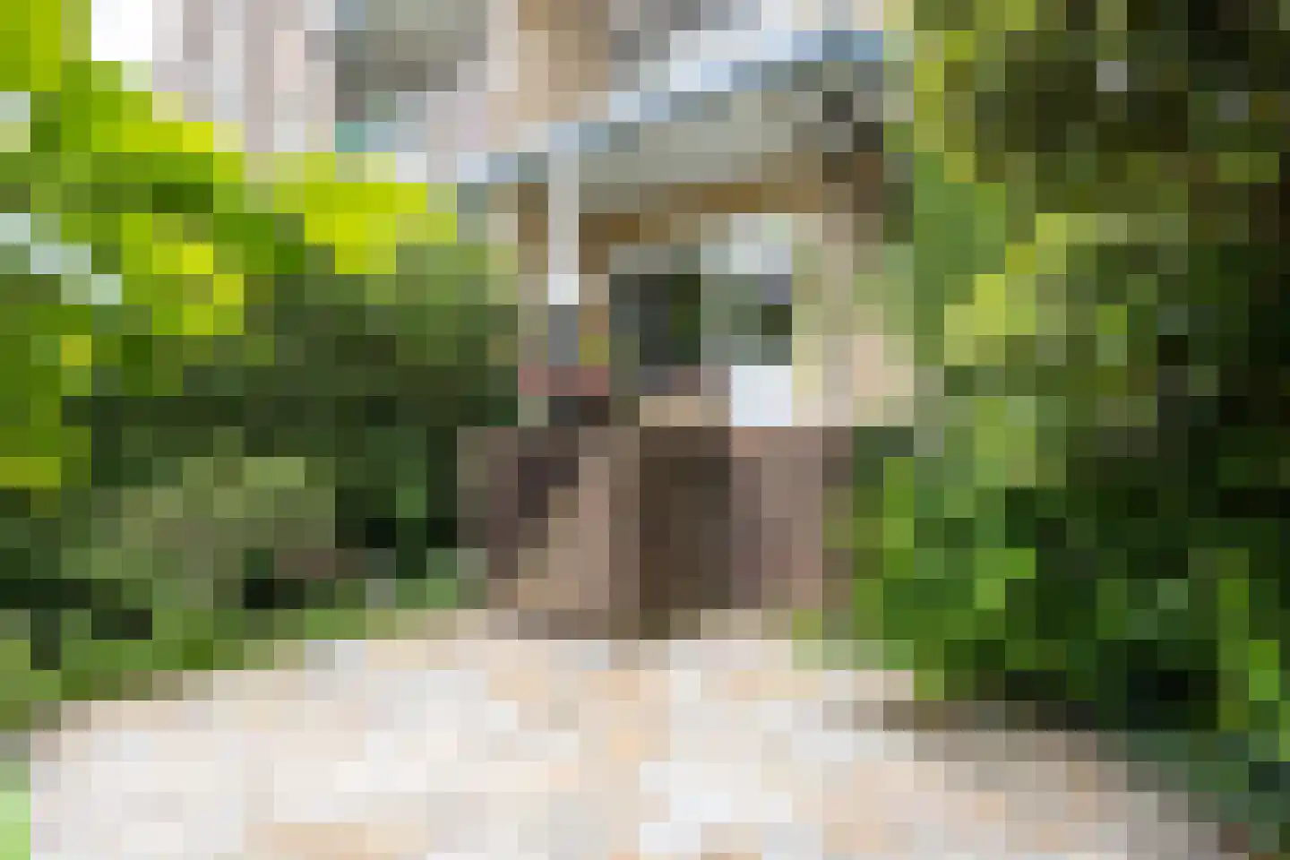 Joseph Haydnlaan 32 Utrecht thumbnail 35