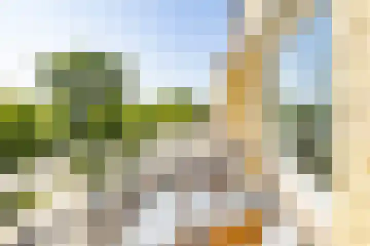 Joseph Haydnlaan 34 3 Utrecht thumbnail 24