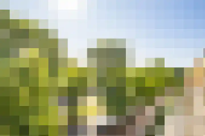 Joseph Haydnlaan 34 3 Utrecht thumbnail 27