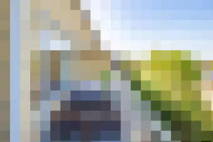 Joseph Haydnlaan 34 3 Utrecht thumbnail 28