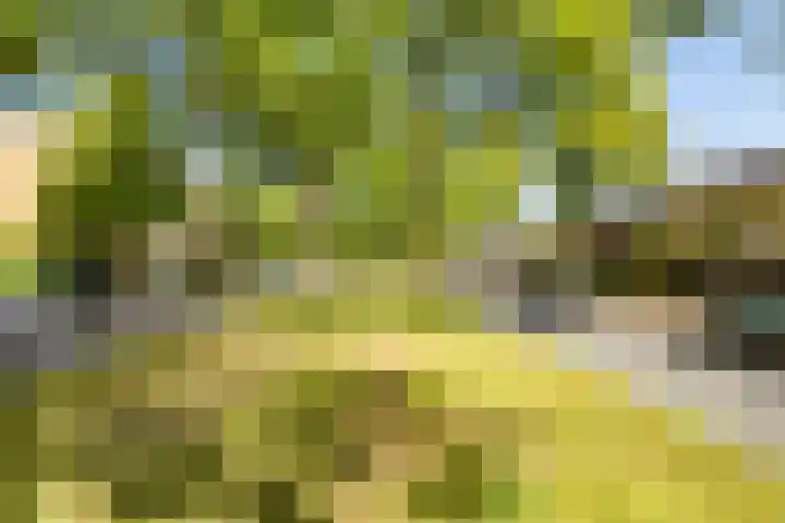 Joseph Haydnlaan 34 3 Utrecht thumbnail 32